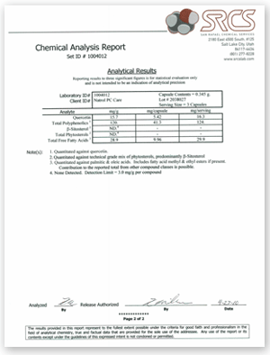 PC Care Lab Report